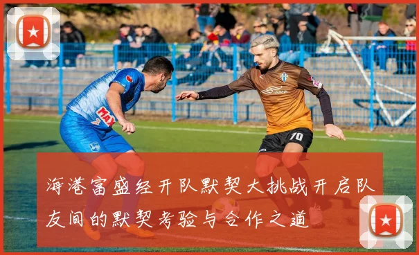 海港富盛经开队默契大挑战开启队友间的默契考验与合作之道
