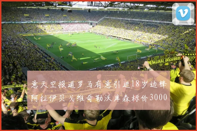 意天空报道罗马有意引进18岁边锋阿拉伊贝戈维奇勒沃库森标价3000万欧元