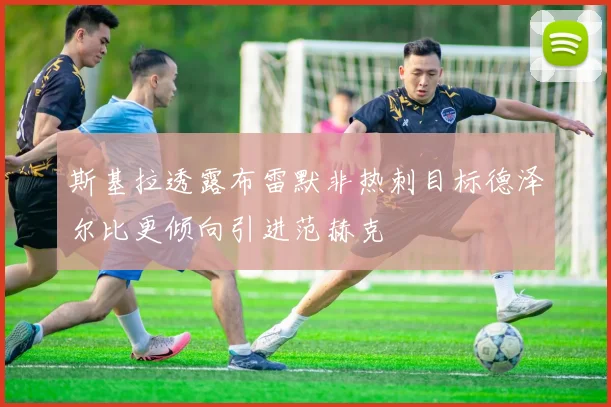 斯基拉透露布雷默非热刺目标德泽尔比更倾向引进范赫克